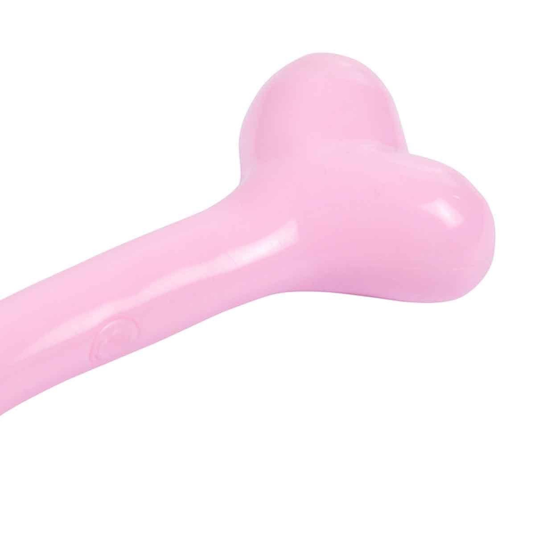 Voir la diapositive 2 : HOMEA Jouet pour chien os  puppy  14cm rose
