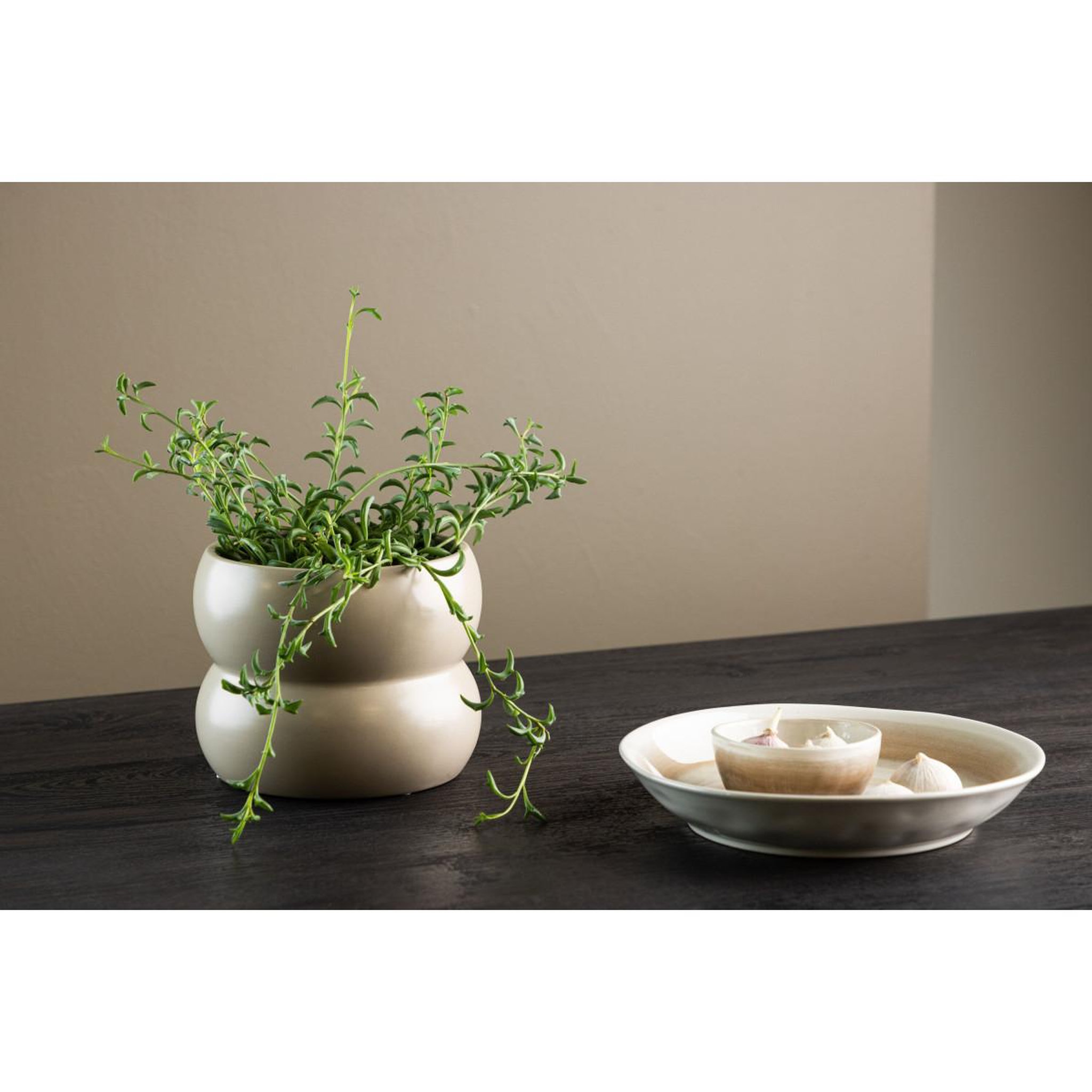 Voir la diapositive 4 : Paris Prix Pot Déco en Céramique  Dapne  16cm Beige