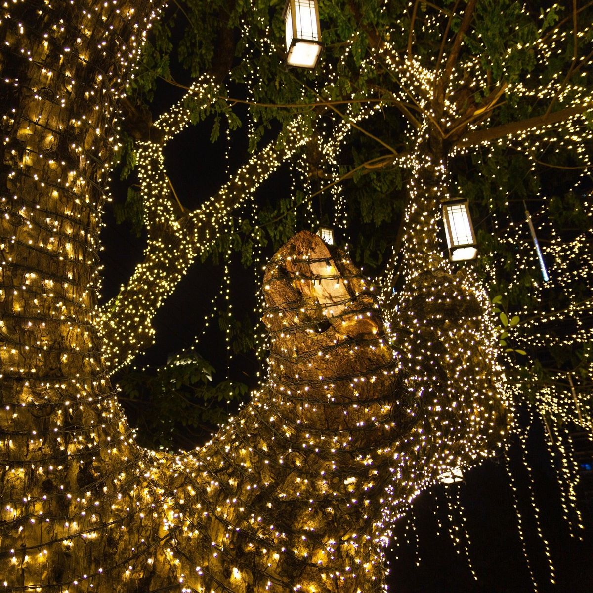 Lumisky Guirlande lumineuse solaire 8 modes YOGY Jaune Plastique 33.90M