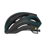 Giroptic Casque Giro Aether Mips Noir