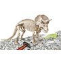 Voir la diapositive 2 : CLEMENTONI Archéo Ludic Triceratops phosphorescent 