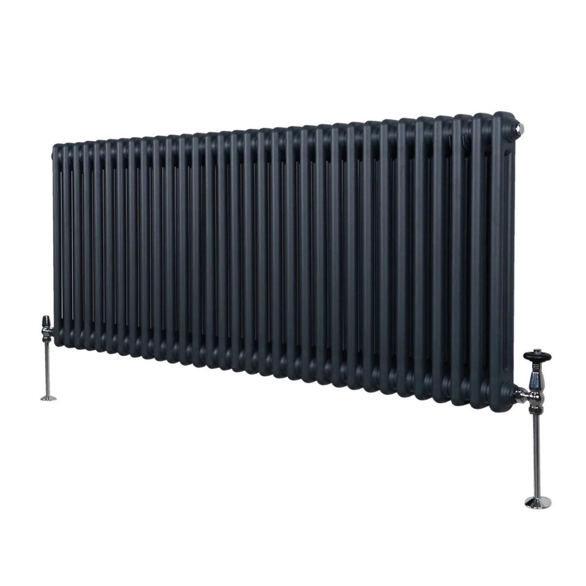 Voir la diapositive 1 : MONSTERSHOP Radiateur traditionnel à 2 colonnes – 600 x 1462 mm