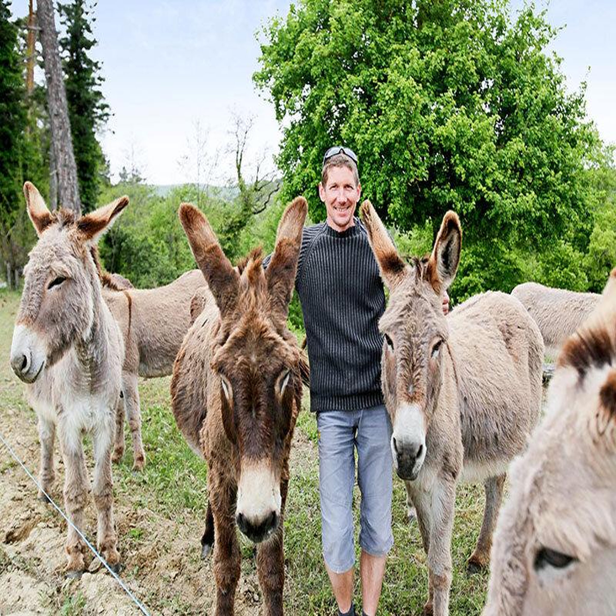 Voir la diapositive 6 : Smartbox Escapade en famille de 2 jours dans la nature en tente safari lodge - coffret cadeau séjour