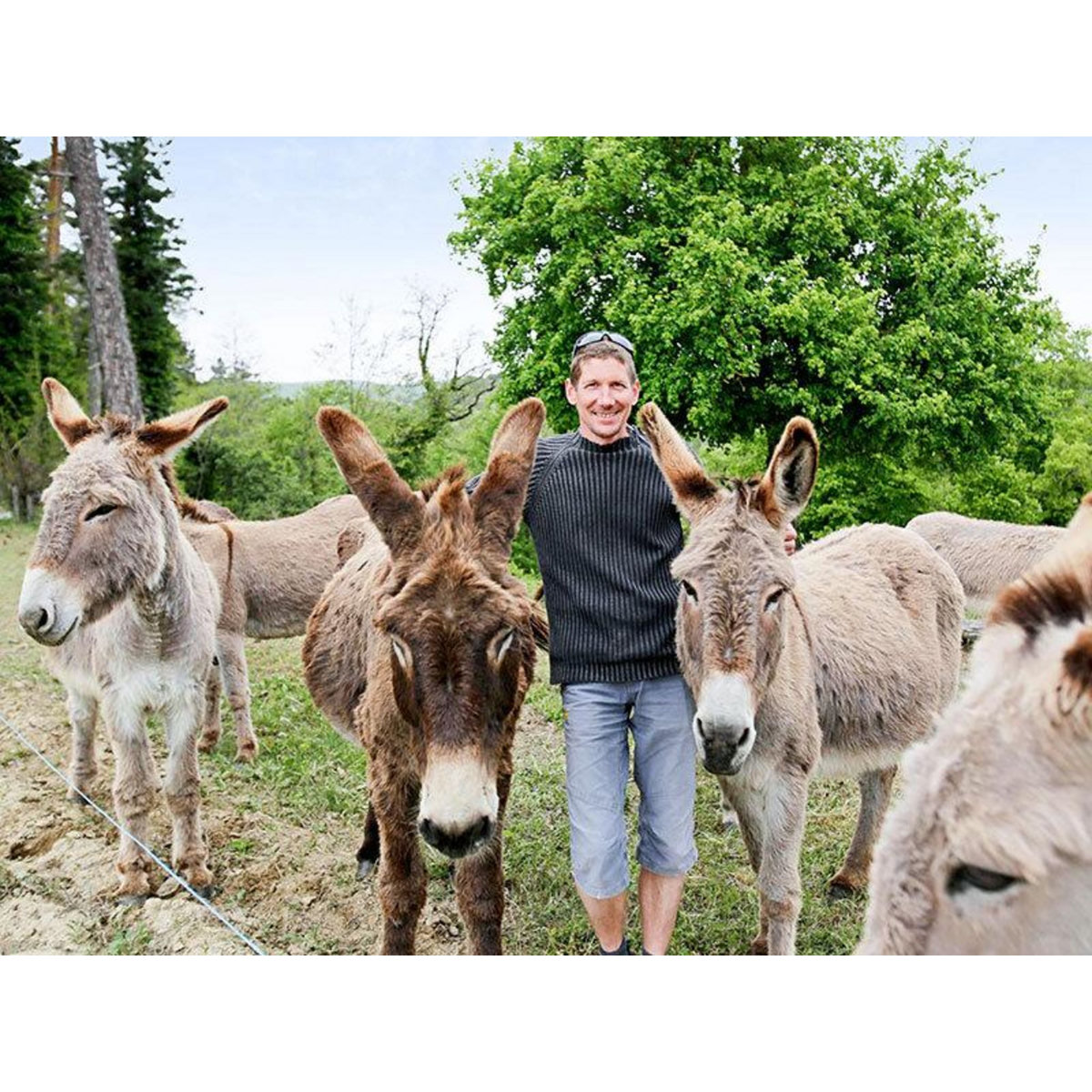 Smartbox Escapade en famille de 2 jours dans la nature en tente Safari Lodge - Coffret Cadeau Séjour