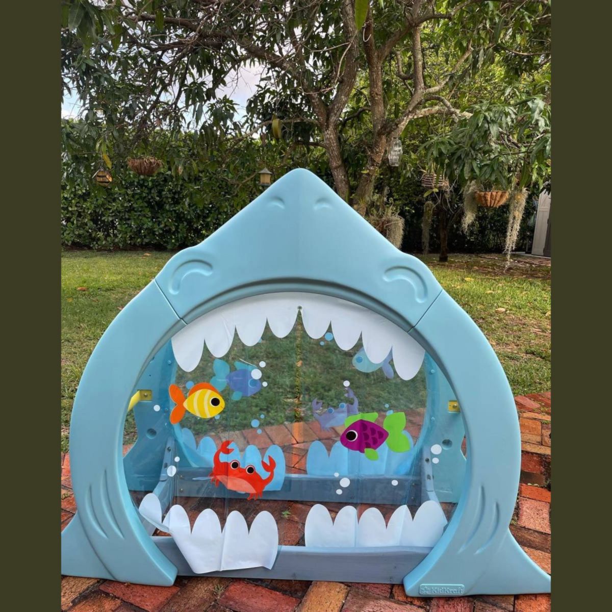 Kidkraft Bac à sable piscine à balle Requin avec échelle d'escalade