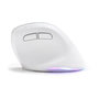 Voir la diapositive 5 : BLUESTORK Souris Ergonomique Sans Fil - BLUESTORK - ERGO - Lumineuse - PC/MAC - Noir
