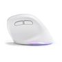 Voir la diapositive 5 : BLUESTORK Souris Ergonomique Sans Fil - BLUESTORK - ERGO - Lumineuse - PC/MAC - Noir