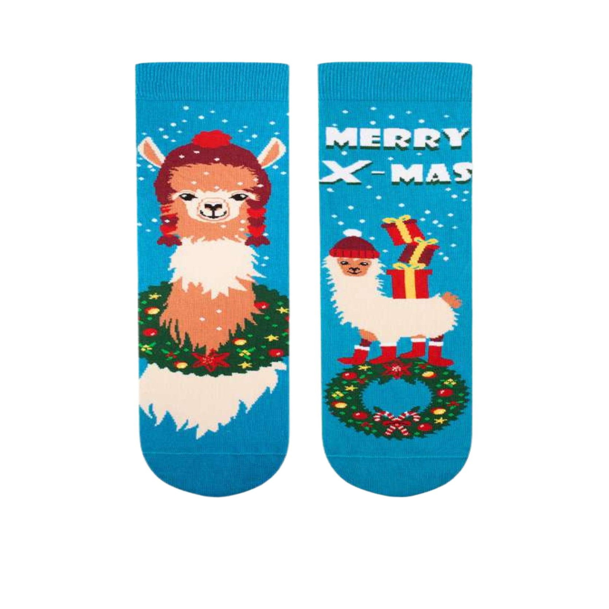 Voir la diapositive 2 : PIRIN HILL Chaussettes arty turquoises lama