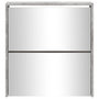 Voir la diapositive 5 : VIDAXL Armoire a chaussures et miroir 2 niveaux Gris beton 63x17x67 cm