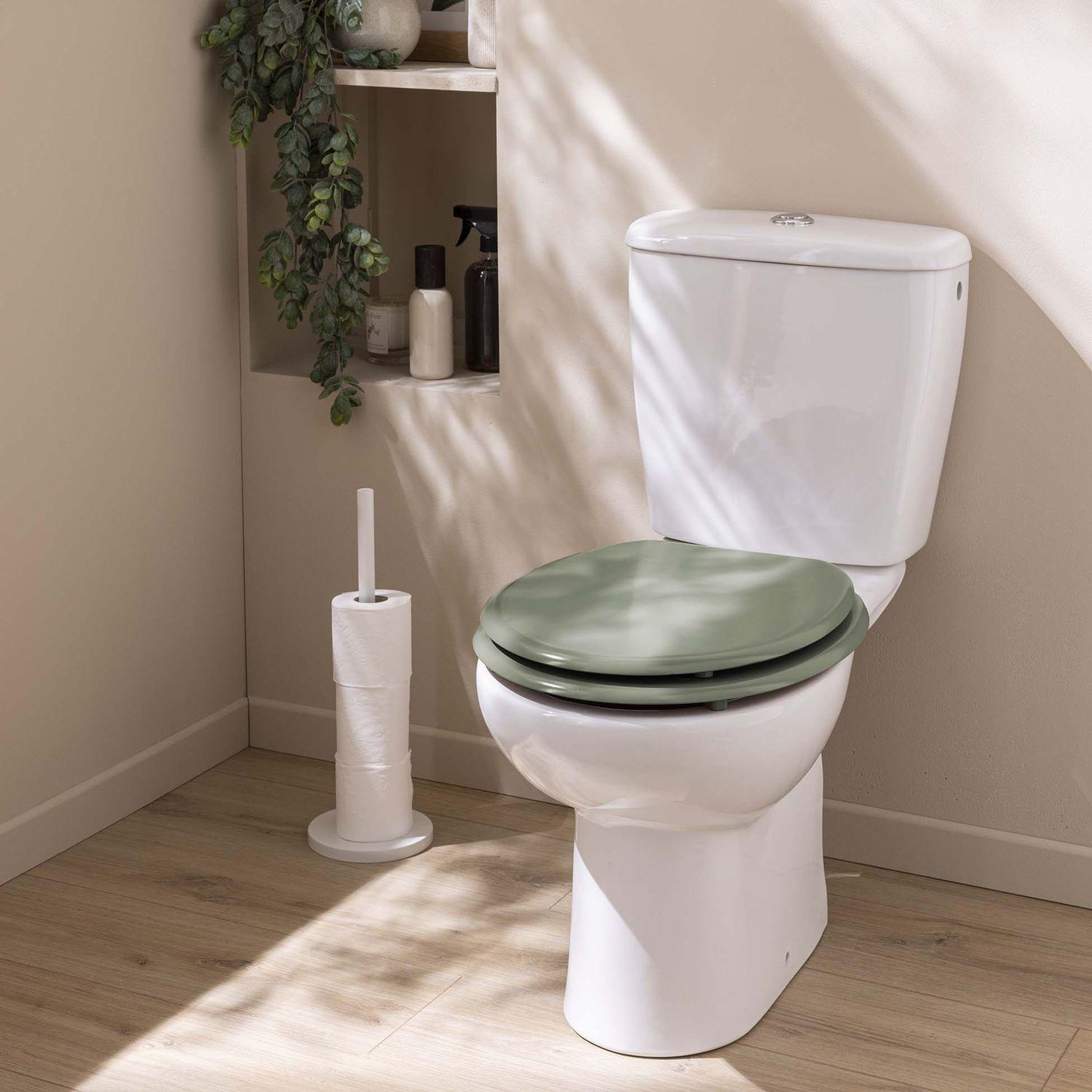 Voir la diapositive 2 : DOUCEUR D'INT�RIEUR Abattant wc berkeley - vert