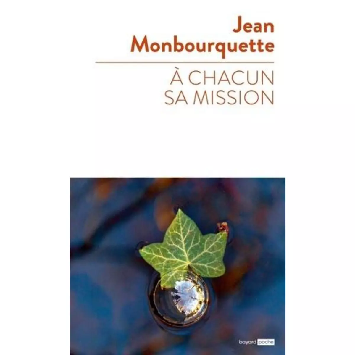  A CHACUN SA MISSION, Monbourquette Jean