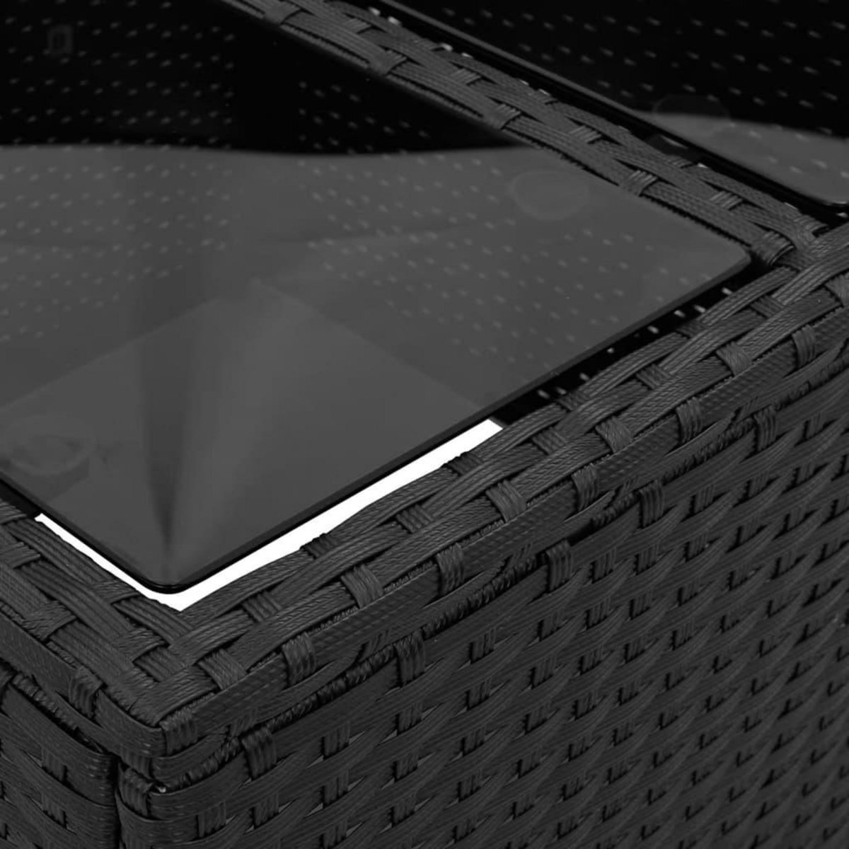 VIDAXL Salon de jardin avec coussins 2pcs noir resine tressee et verre