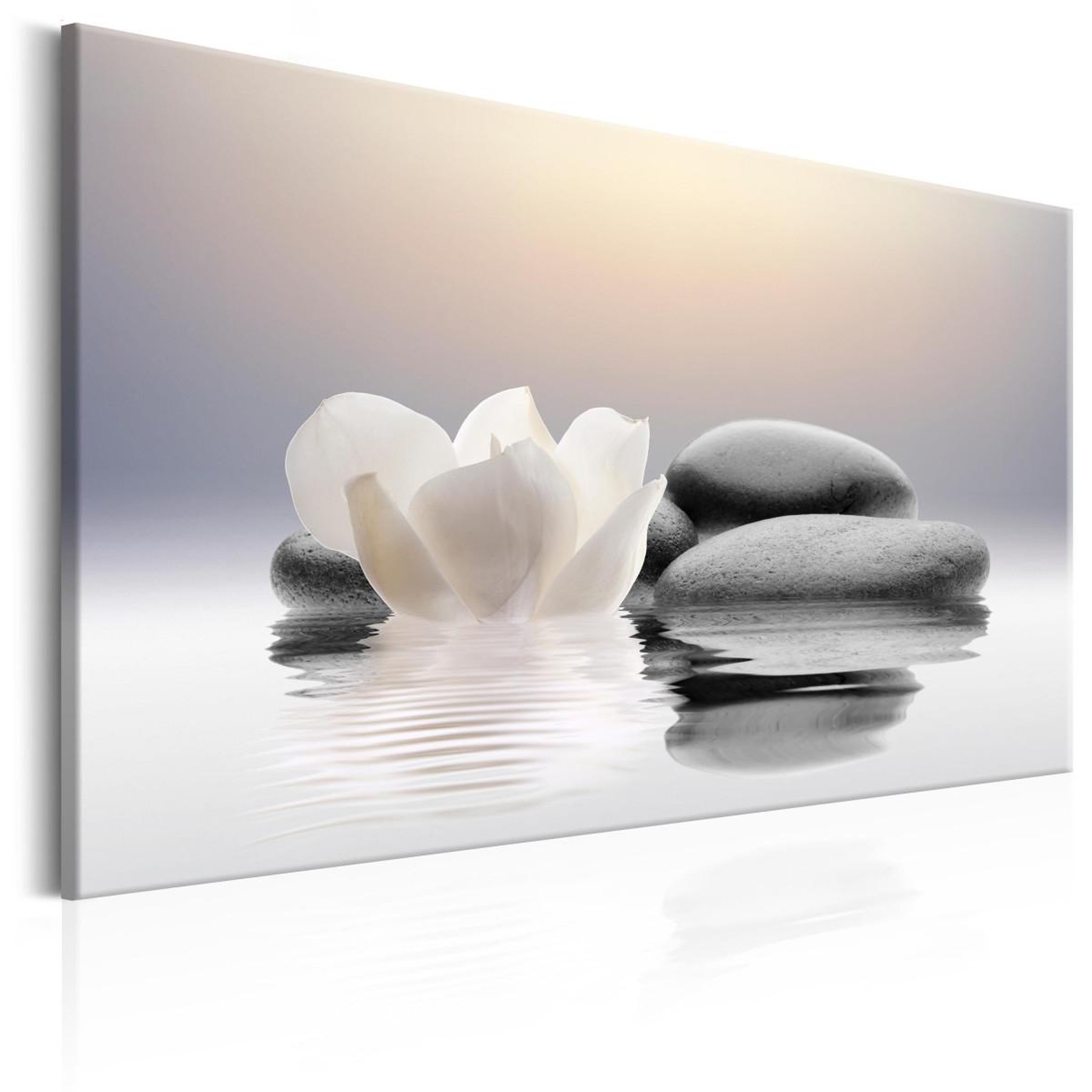 Paris Prix Tableau imprimé  garden of calm. Coloris disponibles : Multicolore