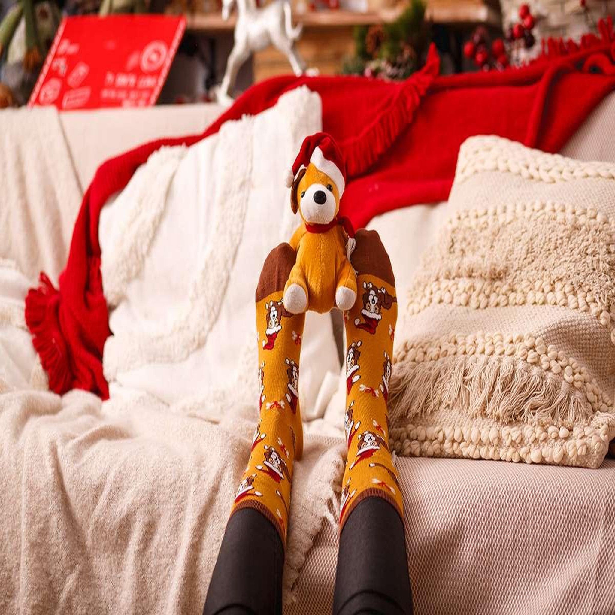 Voir la diapositive 6 : PIRIN HILL Chaussettes coton bio chiens