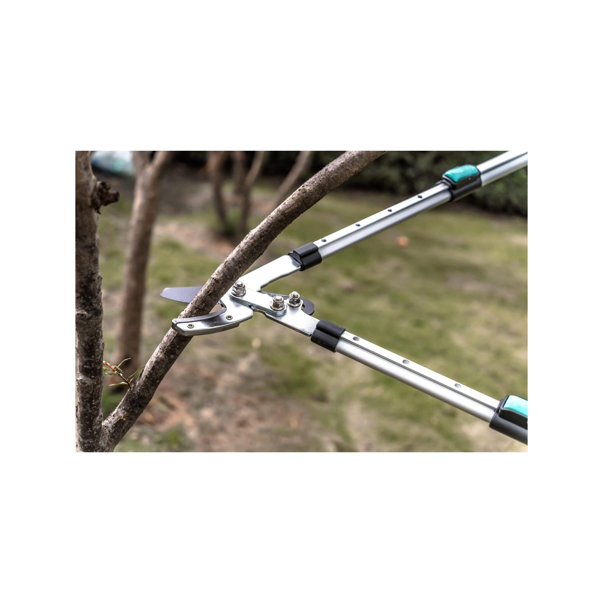 Voir la diapositive 4 : SUAN Coupe branche lame enclume - suan - manche télescopique - dimensions : 88,5 x 30,5 x 3 cm
