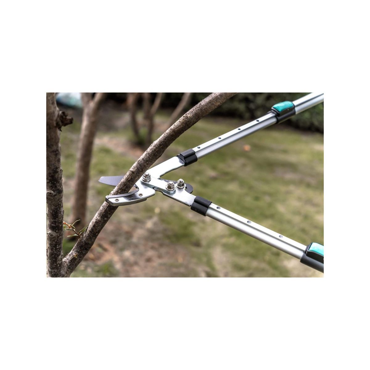 SUAN Coupe branche lame enclume - Suan - Manche télescopique - Dimensions : 88,5 x 30,5 x 3 cm