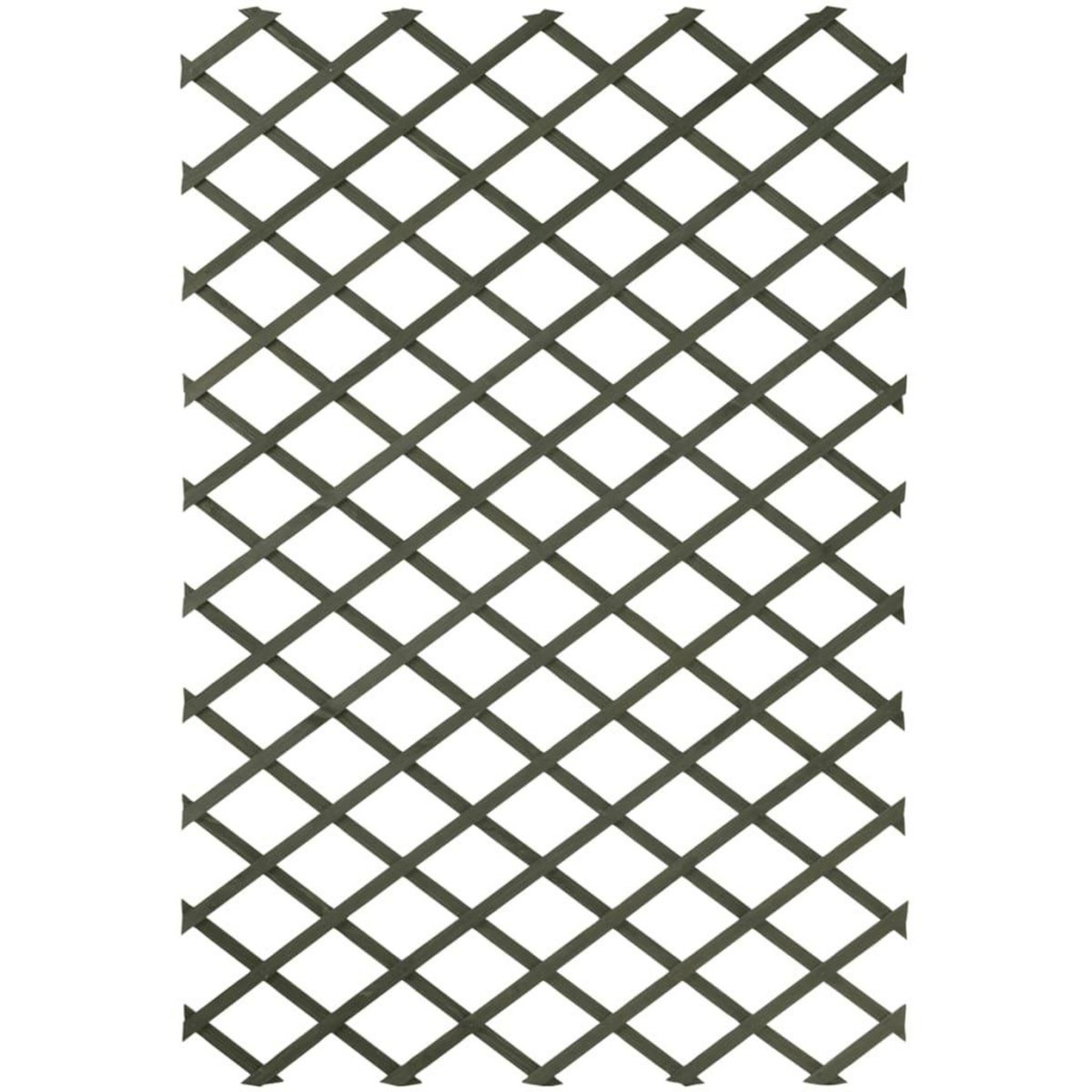 NATURE Nature Trellis de jardin 50 x 150 cm Bois Vert