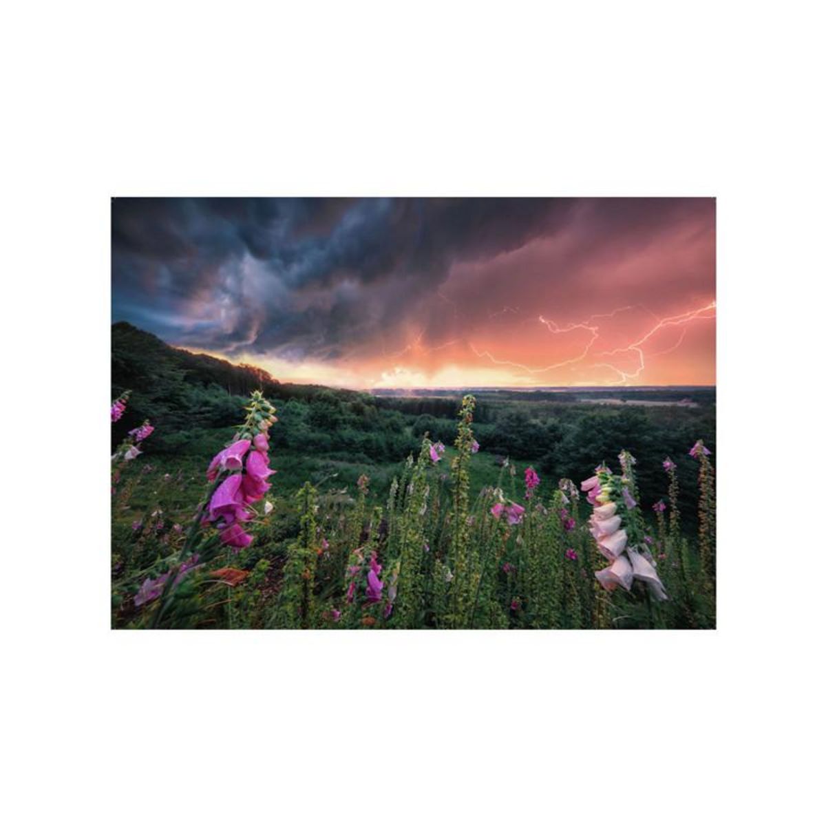 RAVENSBURGER Ravensburger - Jigsaw puzzle Ein Sturm Zieht Auf, 1000pcs. 12000793 7