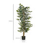 Voir la diapositive 3 : HOMCOM Arbre artificiel plante artificiel ficus hauteur 1,5 m tronc branches liane lichen feuilles grand réalisme pot inclus