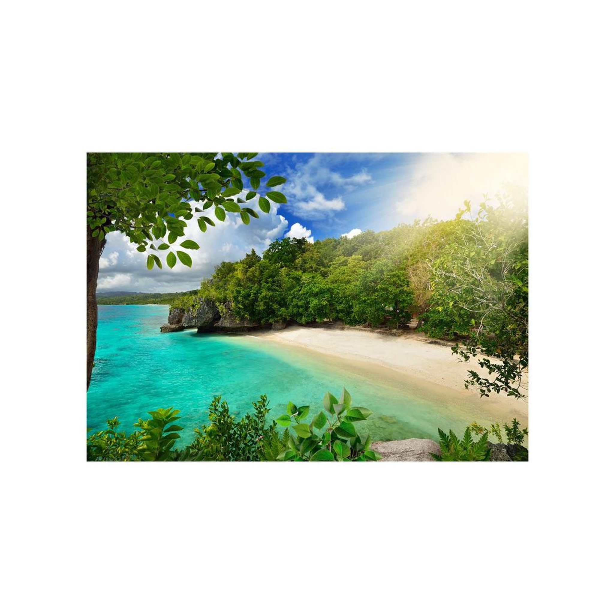 Voir la diapositive 2 : Paris Prix Papier Peint  Sunny Beach