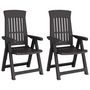 Voir la diapositive 2 : VIDAXL Chaises inclinables de jardin lot de 2 anthracite PP