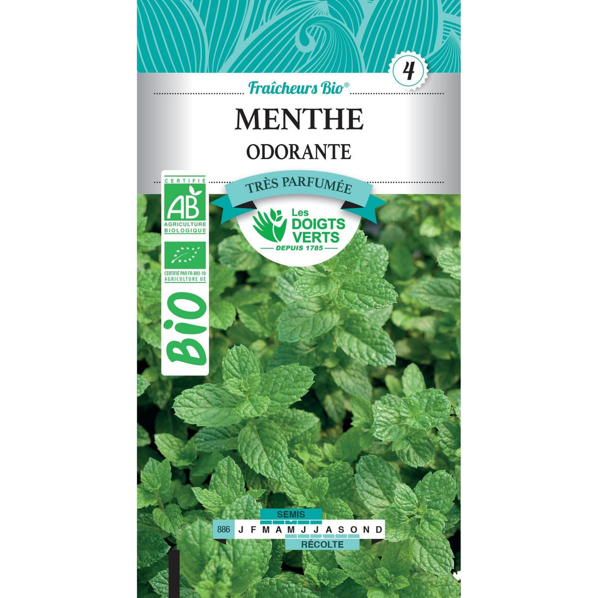 LES DOIGTS VERTS Graines menthe odorante BIO Les Doigts Verts