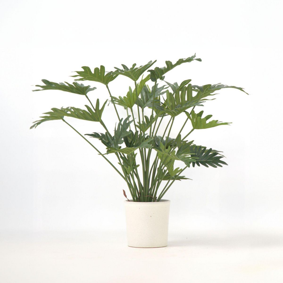 PLANT IN A BOX Philodendron artificiel 'Selloum' - Hauteur 65cm