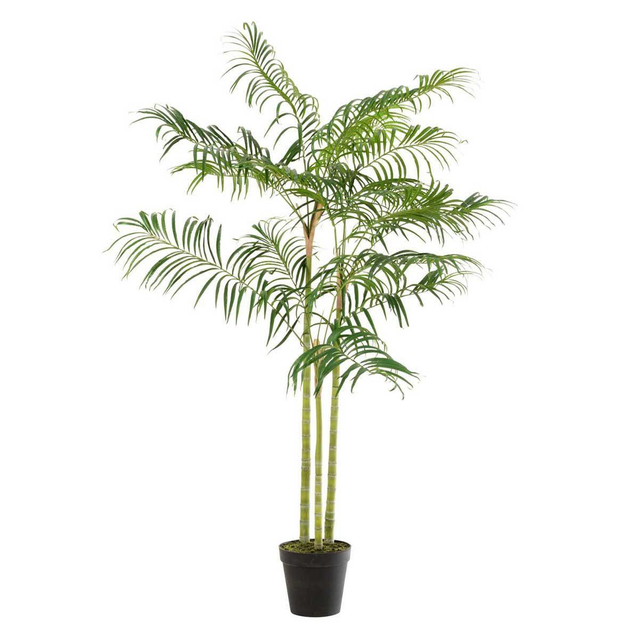 J-LINE Plante artificielle  palmier bambou  170cm vert