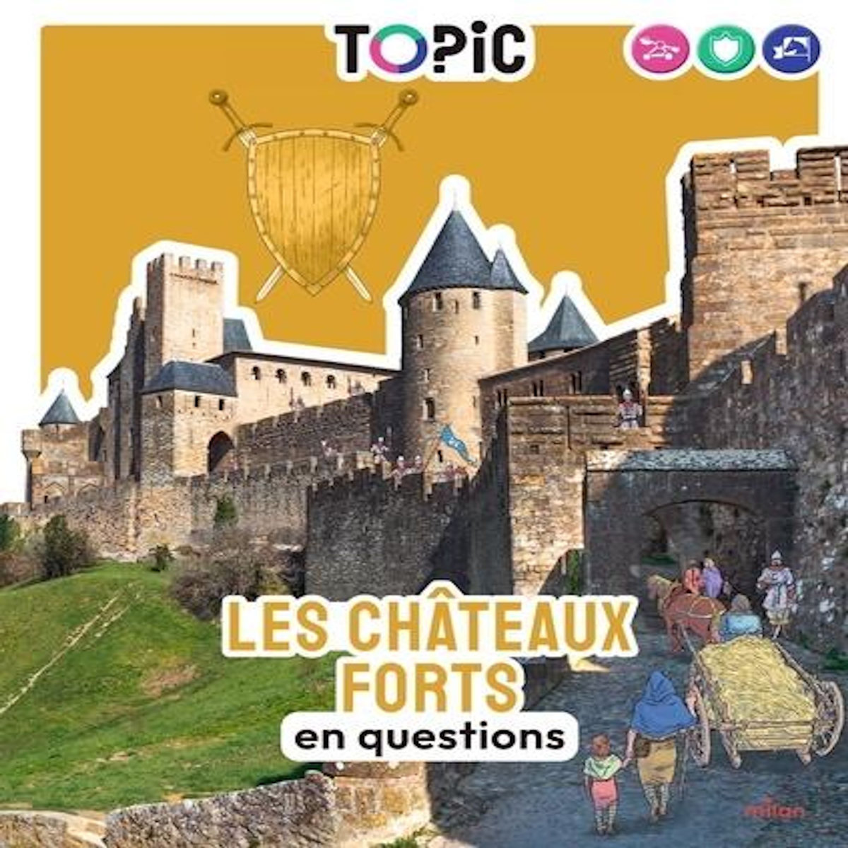 LES CHATEAUX FORTS EN QUESTIONS, Scheidhauer Natacha