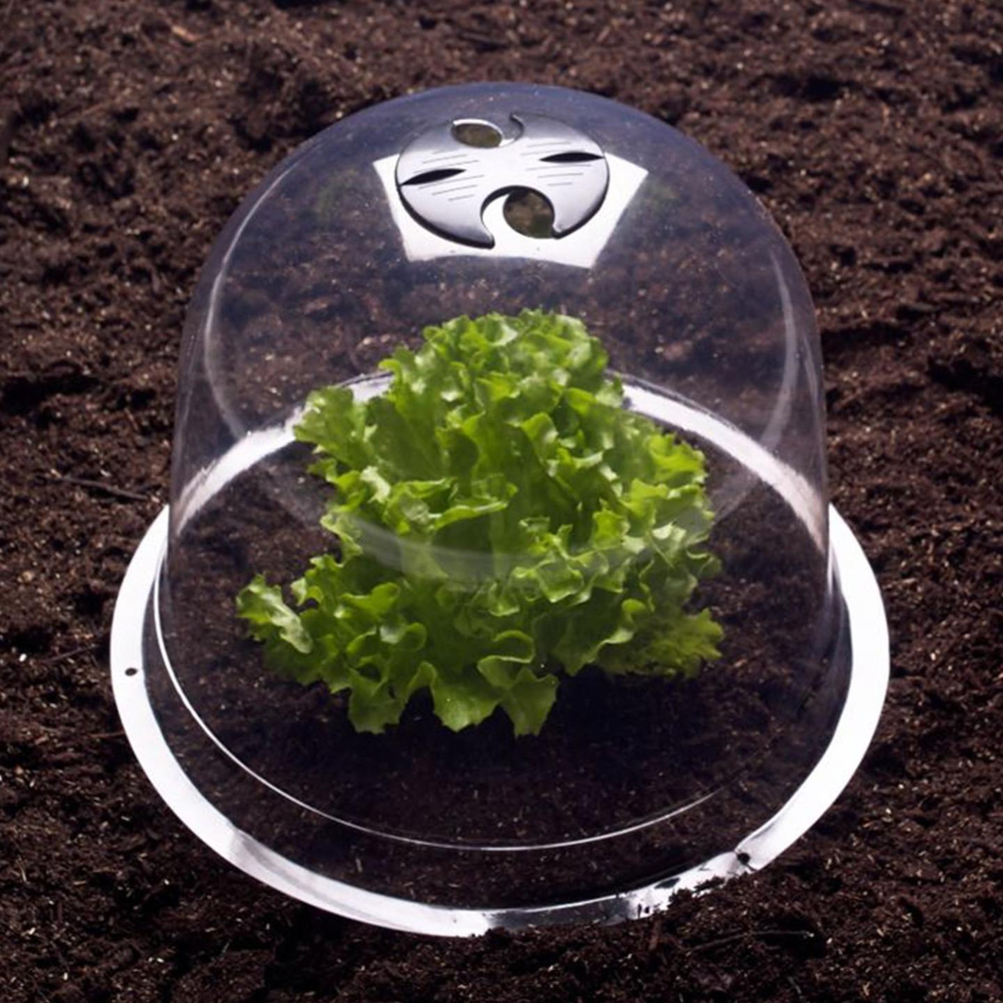 Voir la diapositive 4 : ID MARKET Cloche à salades x12 serre de protection pour plants