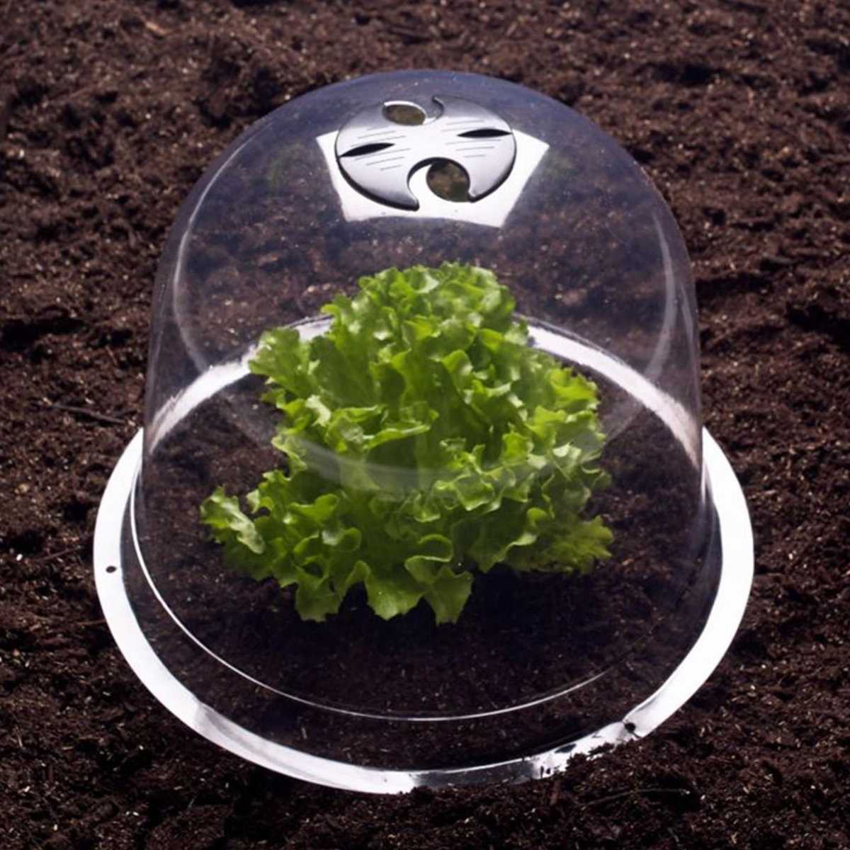 ID MARKET Cloche à salades x12 serre de protection pour plants