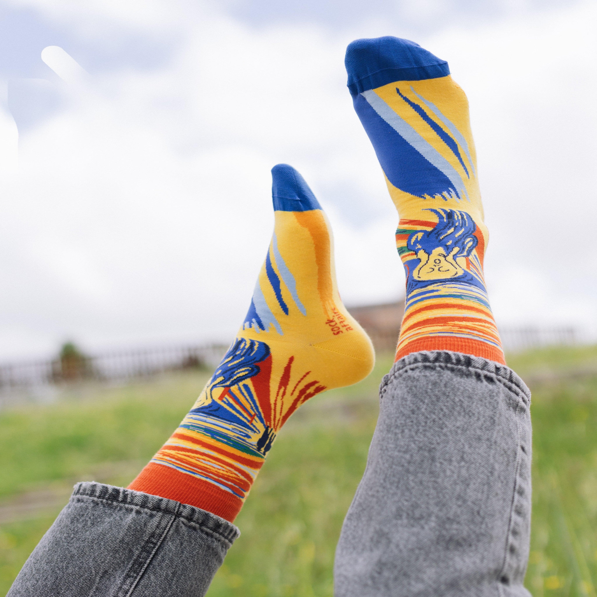 Voir la diapositive 5 : SOCK AFFAIRS Chaussettes le cri de munch