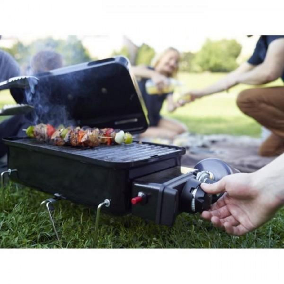 AAAAA Barbecue a gaz - WEBER - Go-Anywhere - Cuve et couvercle en acier émaillé - Brûleur inox
