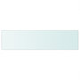 Voir la diapositive 2 : VIDAXL Panneau pour etagere Verre transparent 100 x 25 cm