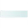 Voir la diapositive 2 : VIDAXL Panneau pour etagere Verre transparent 100 x 25 cm
