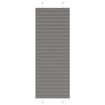 VIDAXL Store plisse anthracite 70x200 cm largeur du tissu 69,4 cm