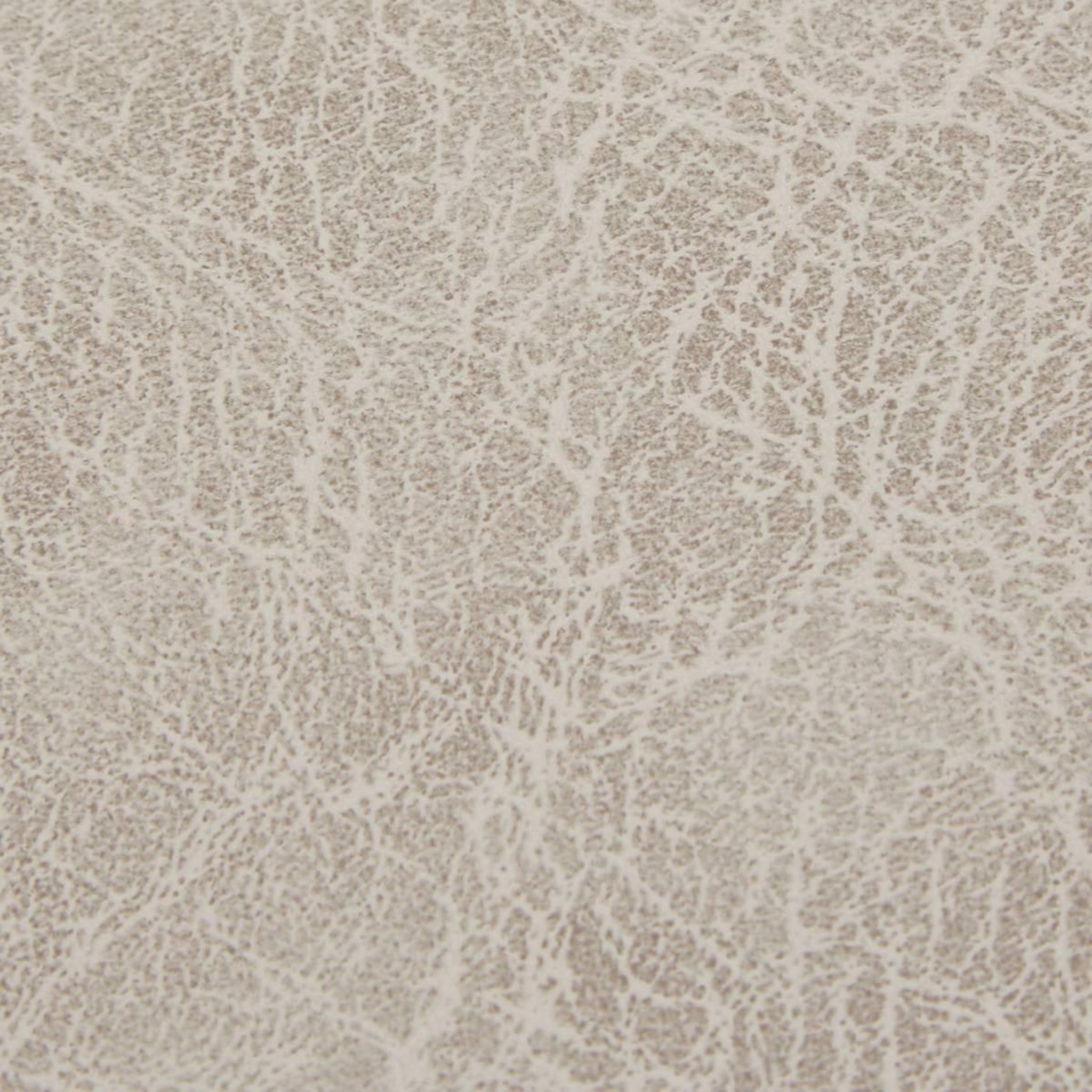 Voir la diapositive 4 : SECRET DE GOURMET Set de Table Rectangulaire  Glenn  30x45cm Beige