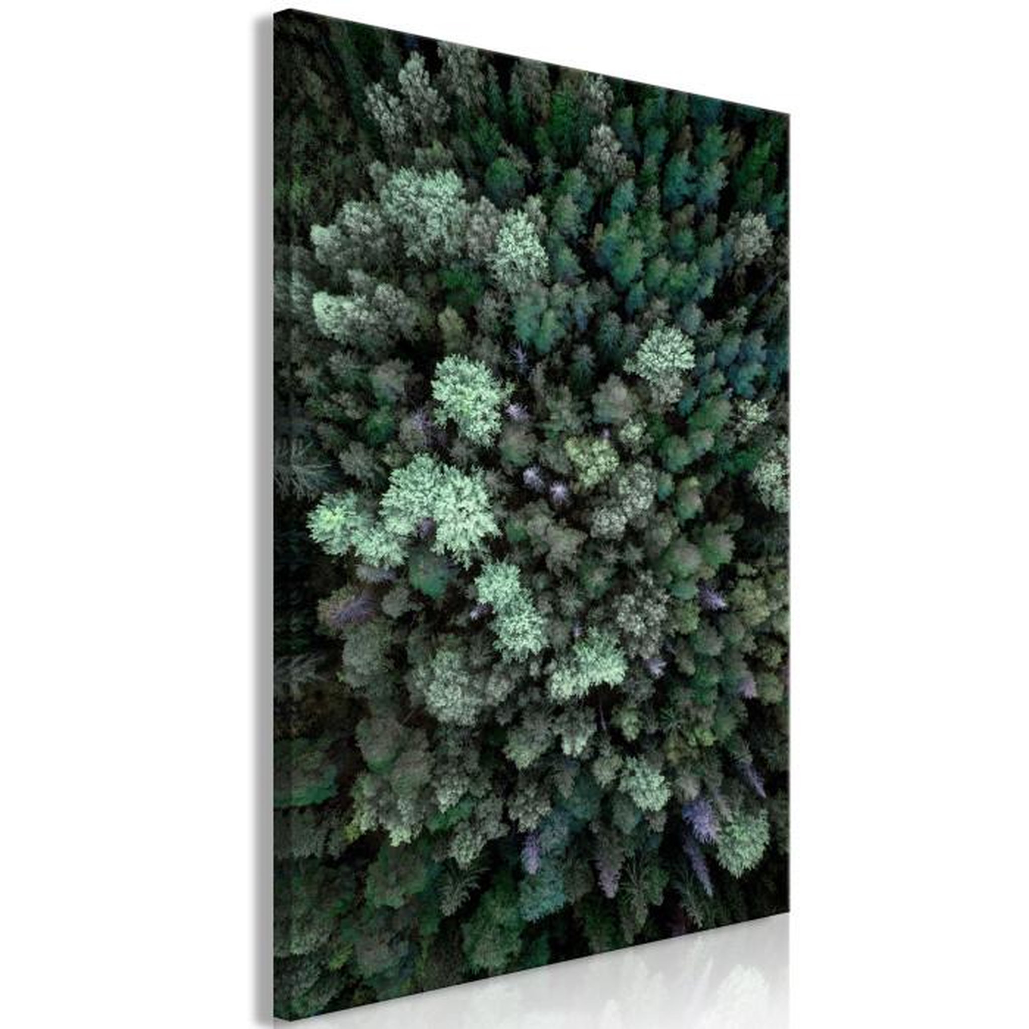 Paris Prix Tableau Imprimé  Flying Over Forest. Coloris disponibles : Multicolore