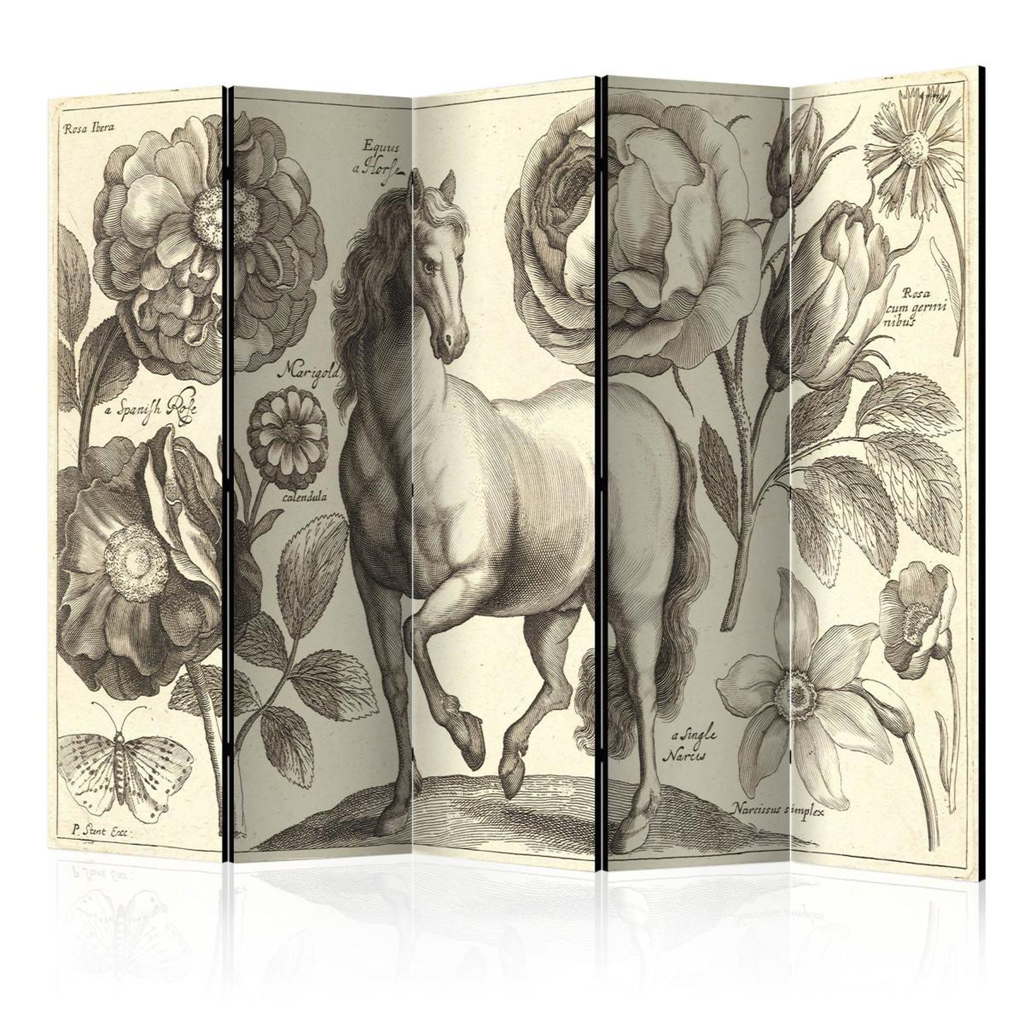 Paris Prix Paravent 5 volets  horse  172x225cm
