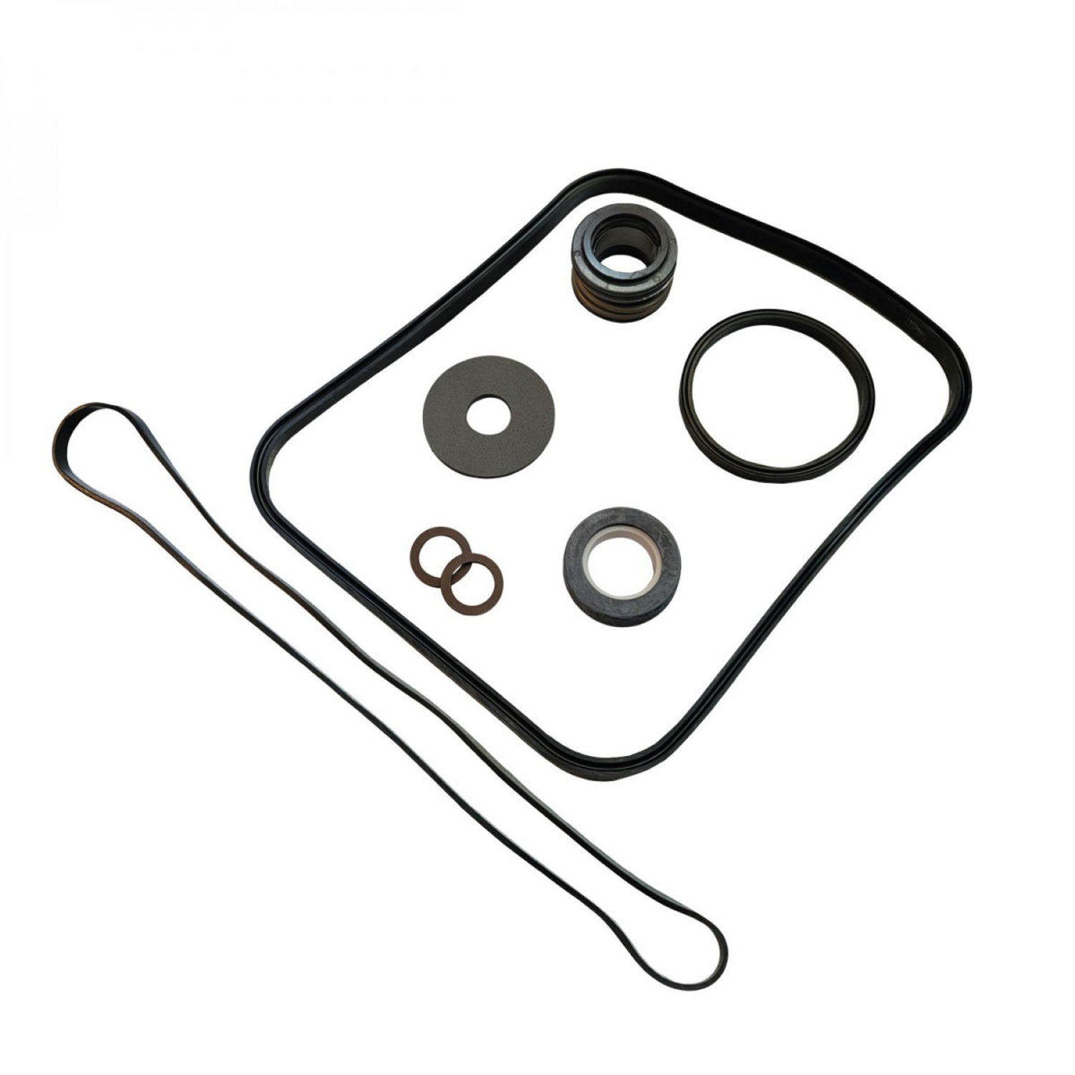 Hayward Pack de joints de remplacement pour pompe Super Pump - SPX1600GS - Noir