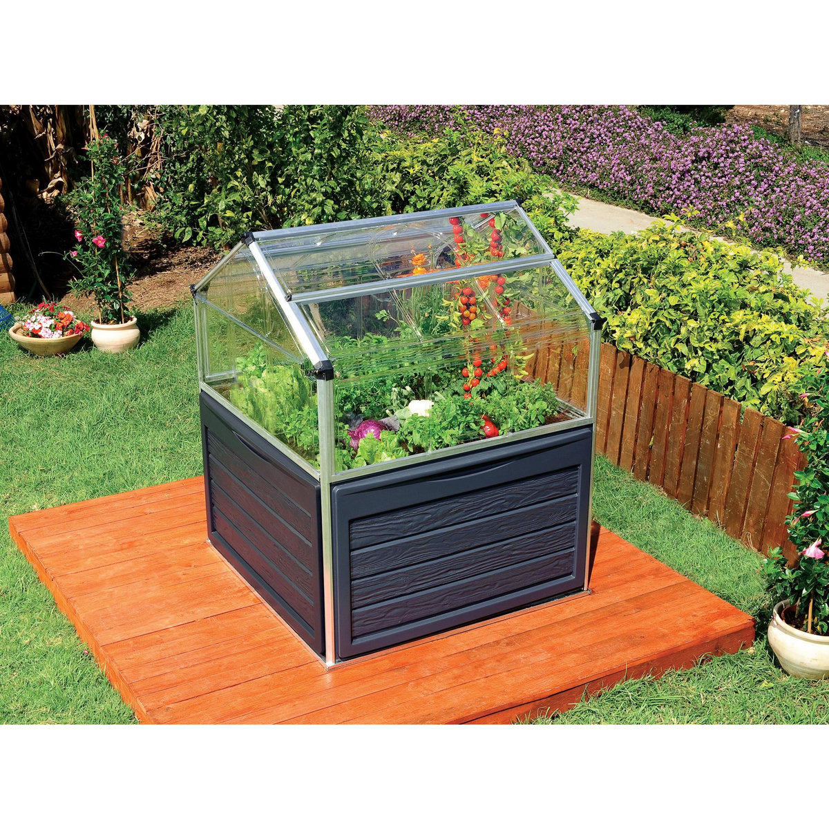 Canopia by PALRAM Mini-serre de jardin - Polycarbonate - 1,4m² - PLANT INN