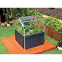 Voir la diapositive 3 : Canopia by PALRAM Mini-serre de jardin - Polycarbonate - 1,4m² - PLANT INN