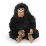 Anima Peluche Chimpanzé Bébé 25 cm - Anima : Réalisme et Douceur