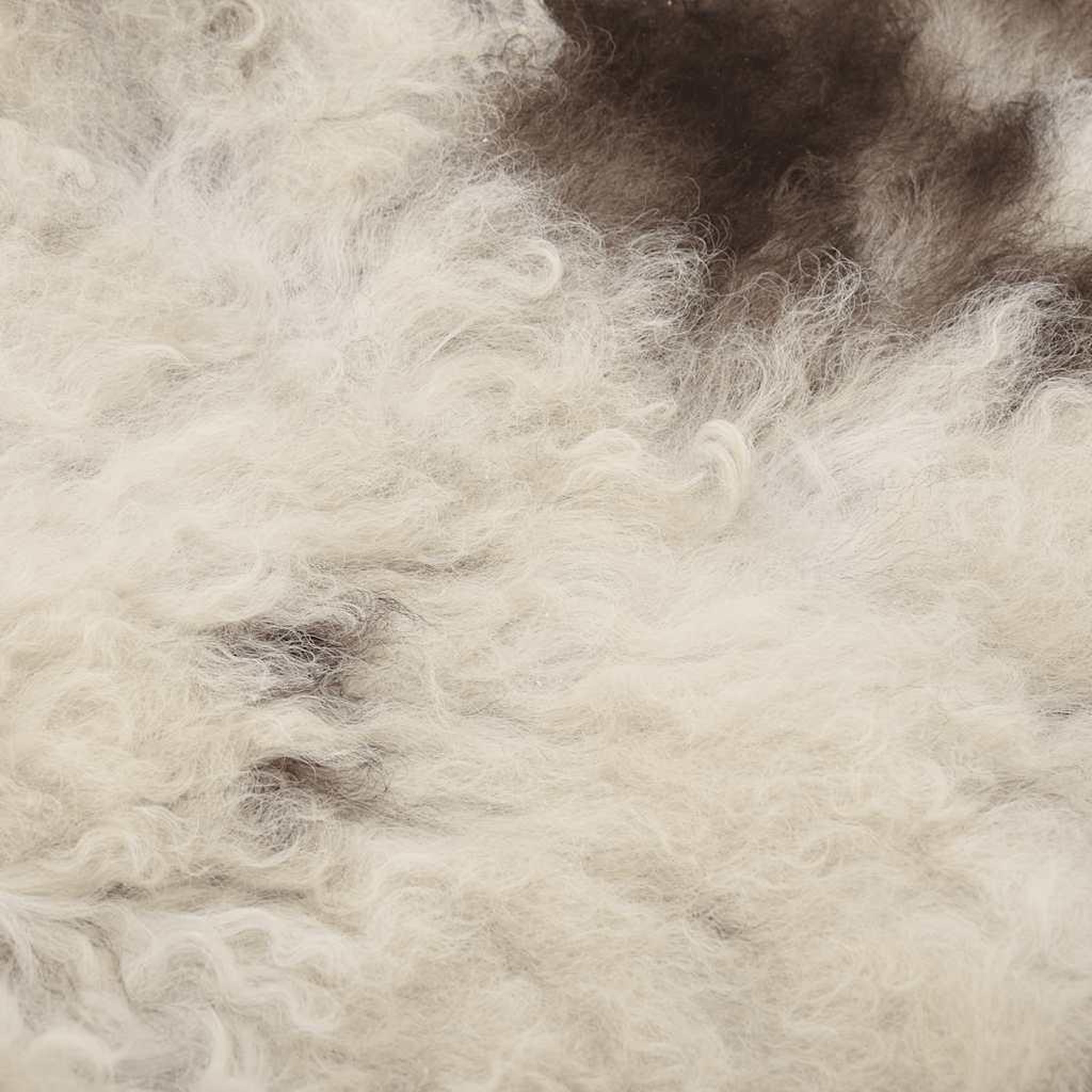 Voir la diapositive 2 : VIDAXL Peau de mouton Couleur melangee (60-70)x(90-100) cm