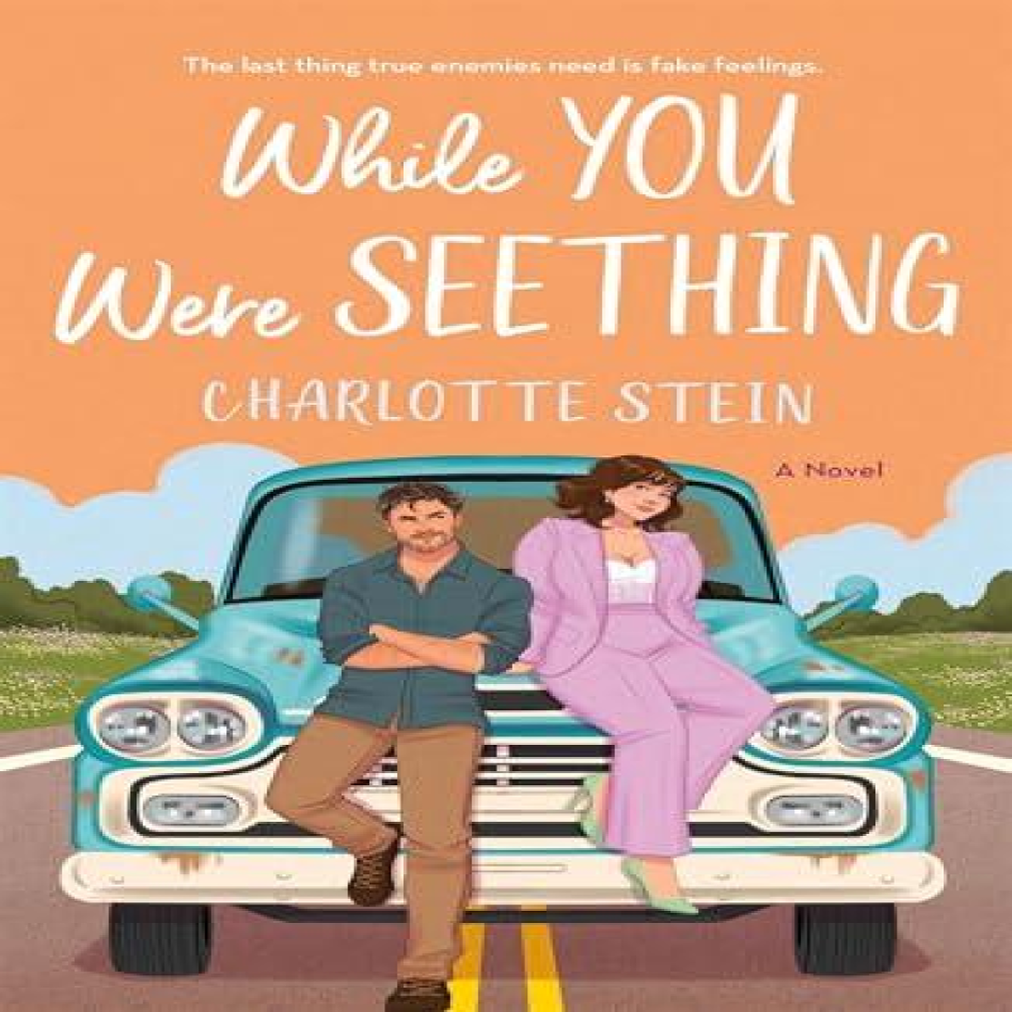 LIVRES While You Were Seething