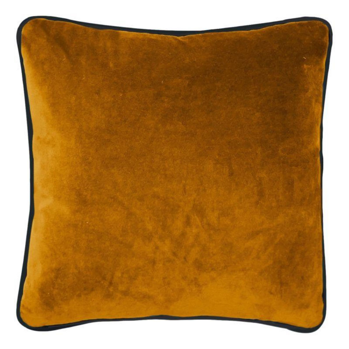 Vent du sud Coussin velours de coton garni  Isilde  45 x 45 cm Vent du sud
