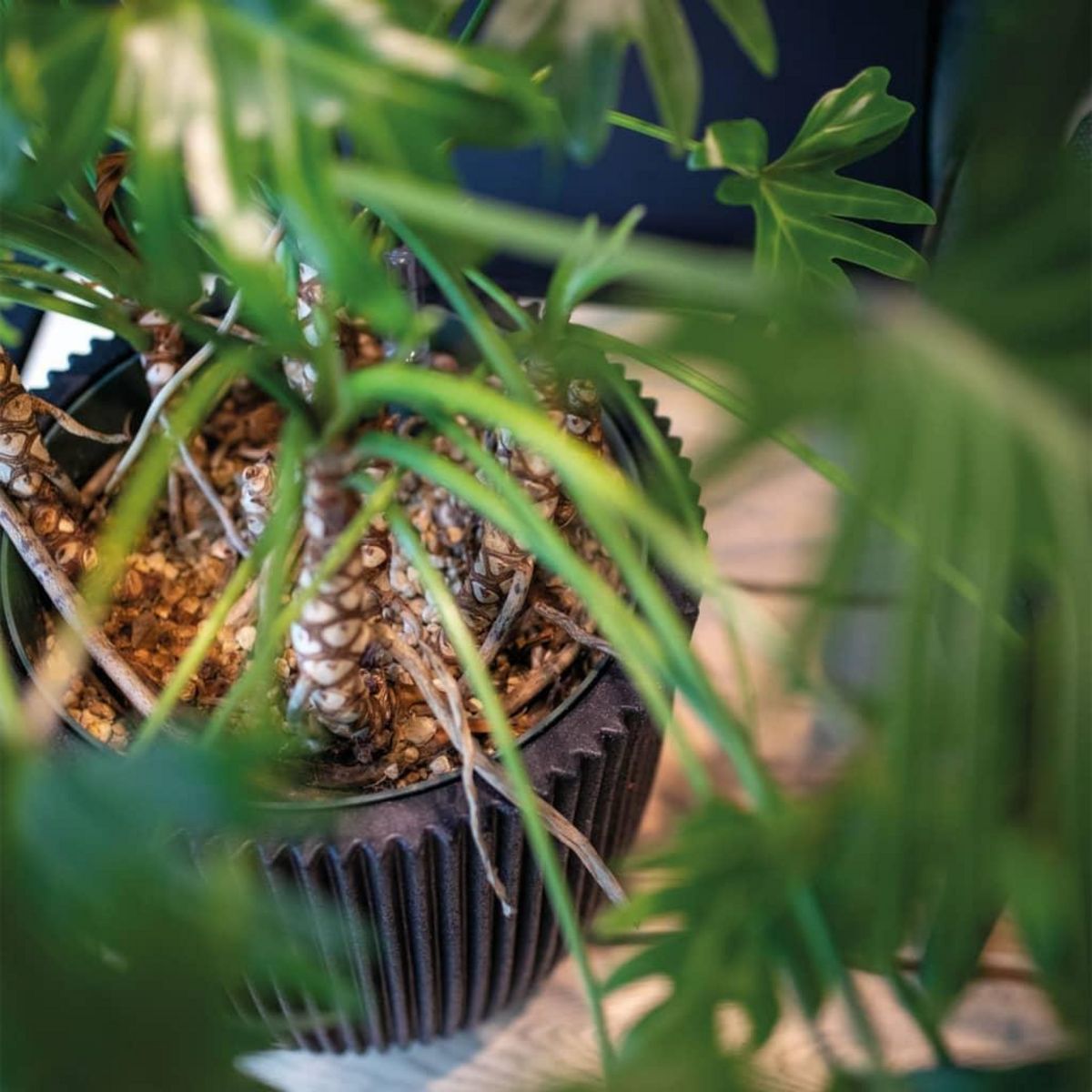 CAPI Capi Vase elegant Groove 46x58 cm Noir