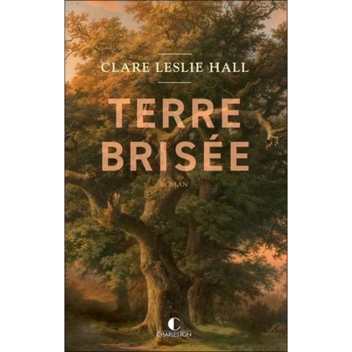 TERRE BRISEE, Hall Clare Leslie