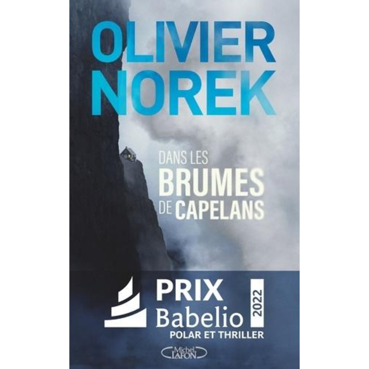DANS LES BRUMES DE CAPELANS, Norek Olivier