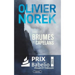 DANS LES BRUMES DE CAPELANS, Norek Olivier